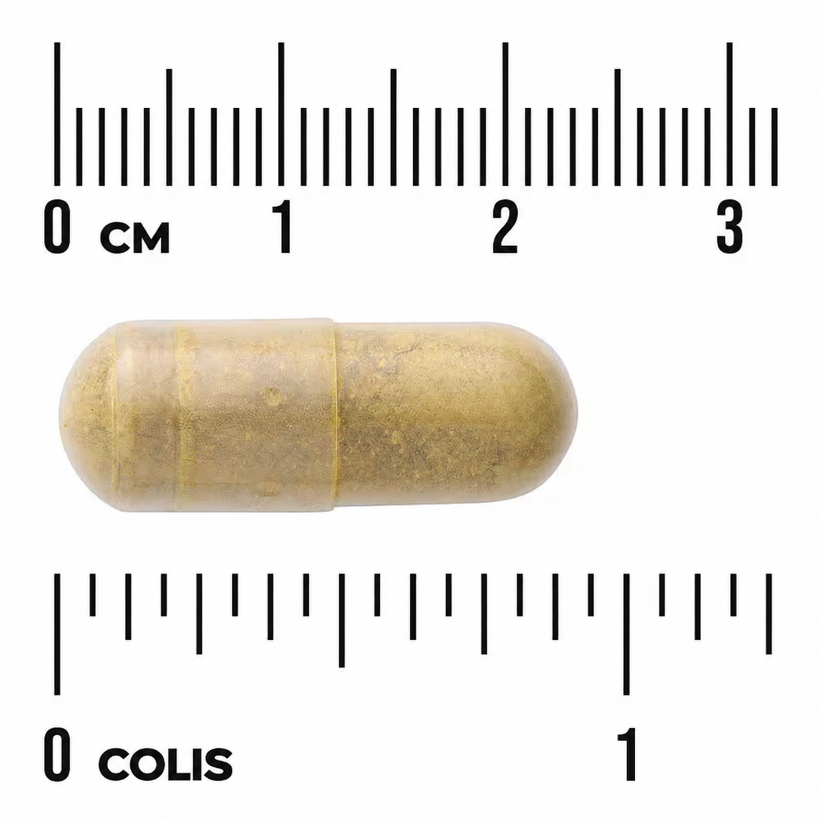 Swanson Berberine Advanced kapsulės dydis šalia centimetrų ir colių skalės