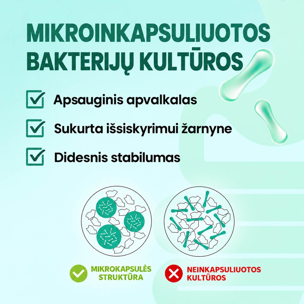 Swedish Nutra Probiotics Max – mikroinkapsuliuotų bakterijų kultūrų schema