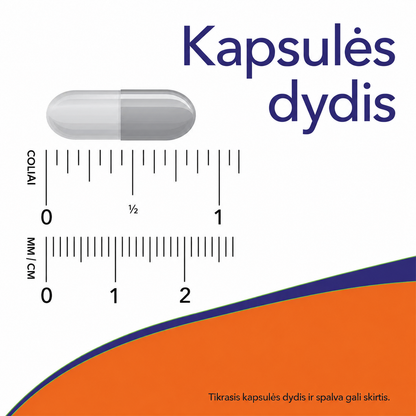 NOW Foods NAC kapsulės dydžio palyginimas su centimetrais ir coliais