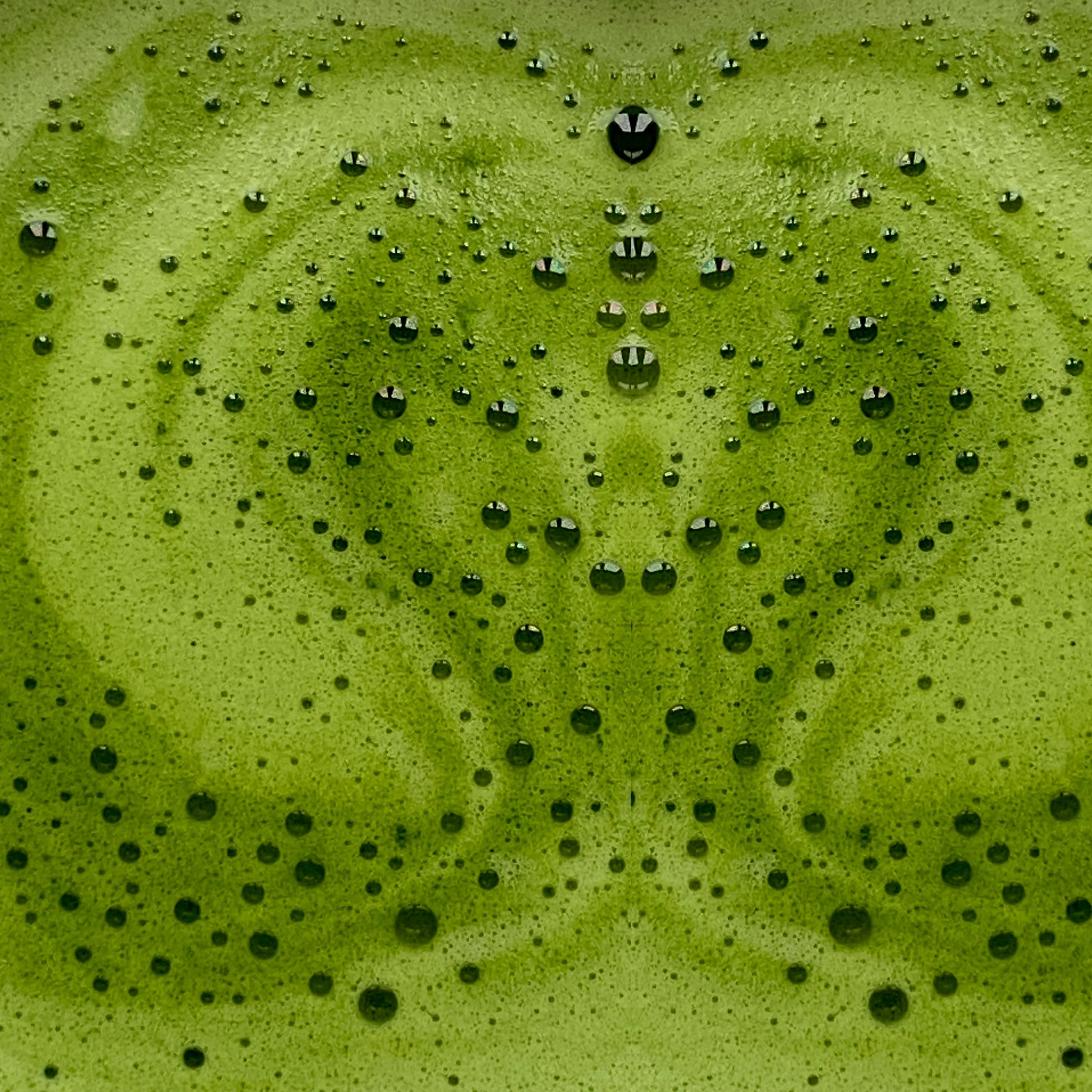 Matcha su chromu ir vitaminu B6 energijai ir koncentracijai